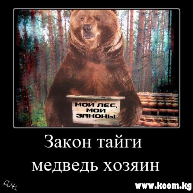 proza.ru сайтри сӑн