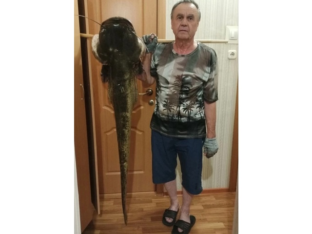 «Контактри» сӑн